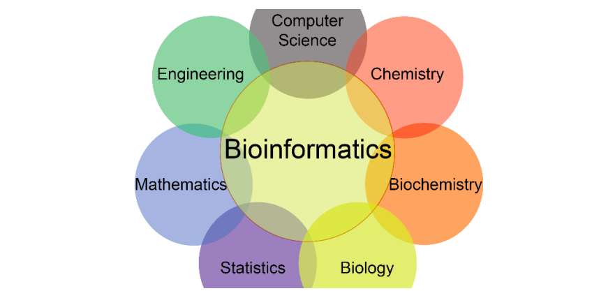 what is bioinformatics biotechnology